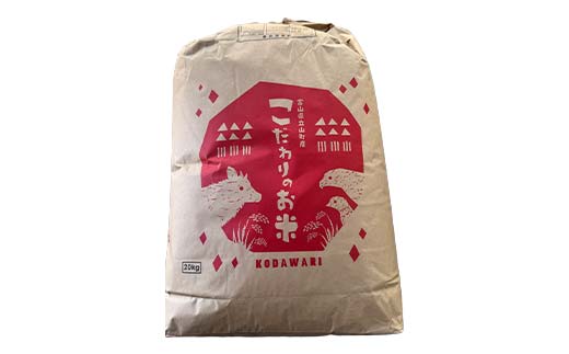 《数量限定》令和7年度産 つきあかり 玄米 10kg 米 お米 新米 ごはん おにぎり 富山 立山 北アルプス 健康志向 JGAP認定 F6T-845