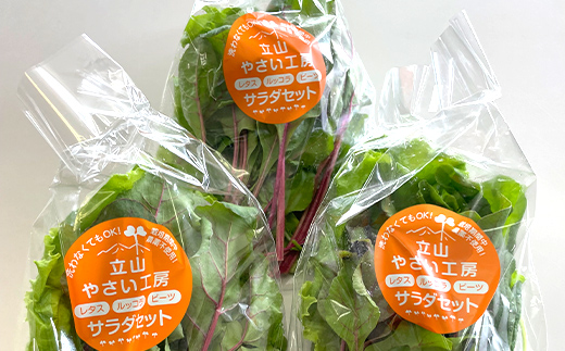立山やさい工房のサラダセット（60g×12袋） 富山県 立山町 F6T-089
