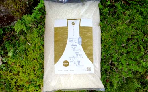 【先行予約】令和7年産 立山 天空の散歩道 吟撰米 精米 合計10kg 5kg×2袋 立山天空米 低温精米 国産 米 お米 日本米 ギフト 贈り物 備蓄 防災 食品 F6T-760