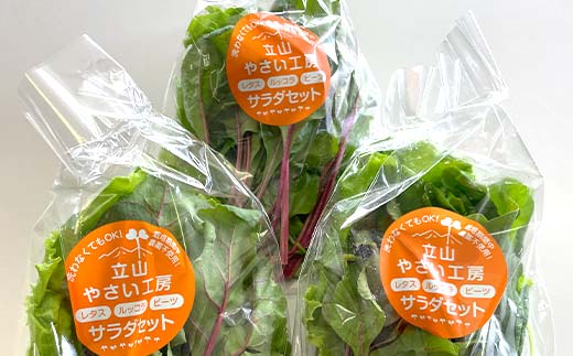 立山やさい工房のサラダセット（60g×6袋）の定期便年12回コース 富山県 立山町 F6T-252