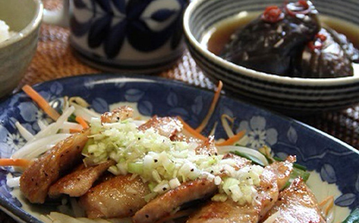 国産豚使用！豚トロ塩だれ 1,200g 国産豚 食感 脂身 秘伝 しおだれ フライパン ホットプレート 手軽 家庭 贅沢 お酒 つまみ おかず パーティー ジューシー 香ばしい  F6T-572