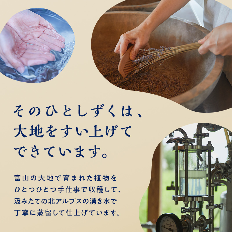 【GIFT BOX】Taroma ハンド & ネイルクリーム 各30g ゆず・ラベンダー セット香り 癒し リラックス 潤い 富山県 立山町 F6T-863