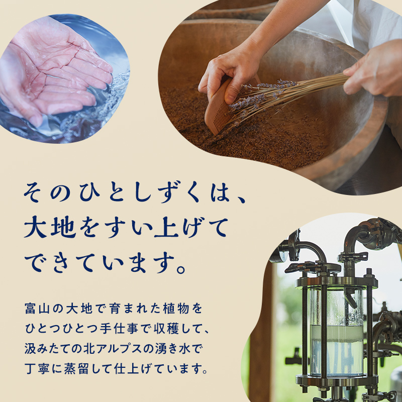 Taroma ハーブ シャンプー & コンディショナー 2種 セット [株式会社ＭＡＥ ボトル ディスペンサー リンス 香る 髪 潤い ラベンダー ローズマリー ヘアケア 富山県 立山町 F6T-086