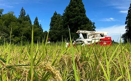 米 自然栽培 コシヒカリ 3kg  白雪農園 お米 精米 こしひかり 農家 美味しい 富山県 立山町 F6T-173