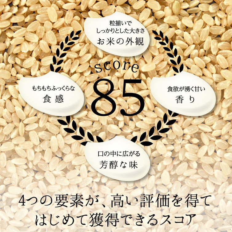 《先行予約》【9回定期】特別栽培米 コシヒカリ ヒロシノキモチ 無洗米 10kg 総計90kg 陽咲玲 米 お米 コメ 無洗米 ご飯 ごはん 富山県産 富山県 立山町 F6T-892