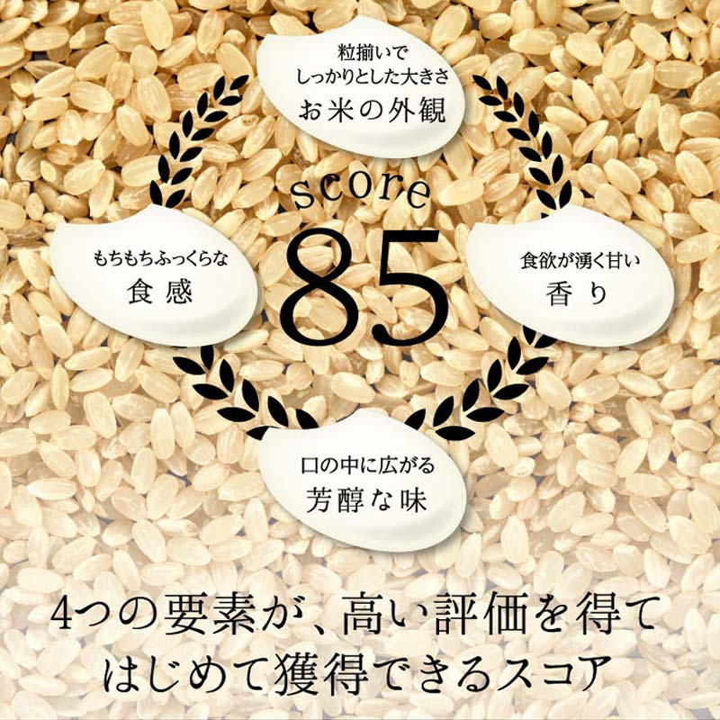 《先行予約》特別栽培米 コシヒカリ ヒロシノキモチ 精米 合計6合 (2合×3PC) ブランド米 銘柄米 国産 米 お米 日本米 ギフト 贈り物 備蓄 防災 食品 陽咲玲 はるざれ F6T-880