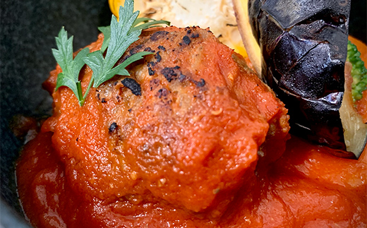 食卓を贅沢に！和牛100％ハンバーグ ～トマトソース～ 15個 牛肉 100％ 温めるだけ 濃厚 さっぱり 簡単 肉汁 ジューシー 旨み ご飯 特製トマトソース パスタ バゲット  F6T-606