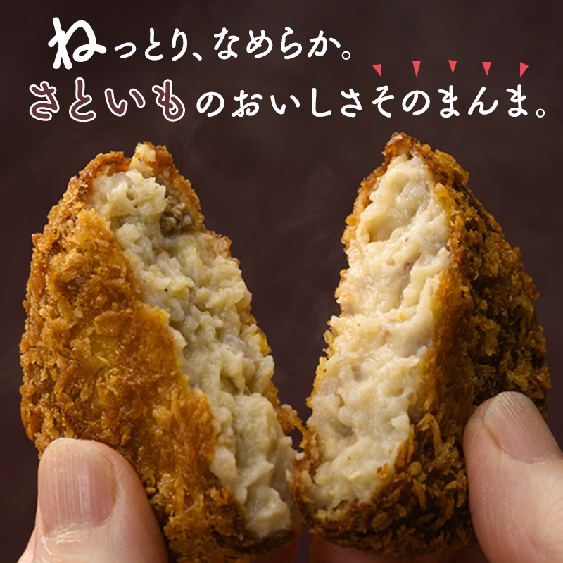 立山コロッケ プレーン 64g×5個×4パック 農事組合法人いこいの杜 富山県 立山町 F6T-167