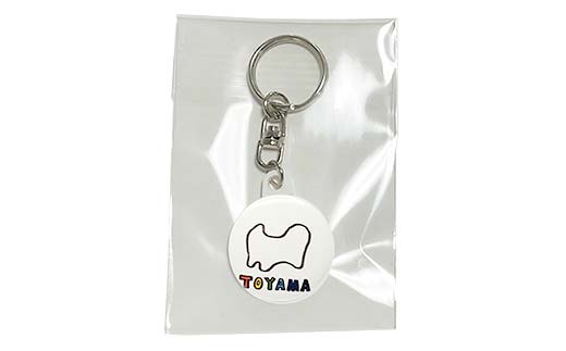 TV番組「夜の巷を徘徊する」紹介店 立山町の名所！癒しのイラスト A4 イラスト (フォトフレーム入り) 1個 キーホルダー 1個 ステッカー 1枚 セット 立山サンダーバード 雑貨 インテリア ポップアート 旅 旅行 思い出 富山県 立山町 F6T-427