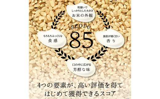 《先行予約》富山県ブランド米 富富富 玄米 10kg ふふふ ブランド米 国産 米 お米 日本米 ギフト 贈り物 備蓄 防災 食品 陽咲玲 はるざれ F6T-904
