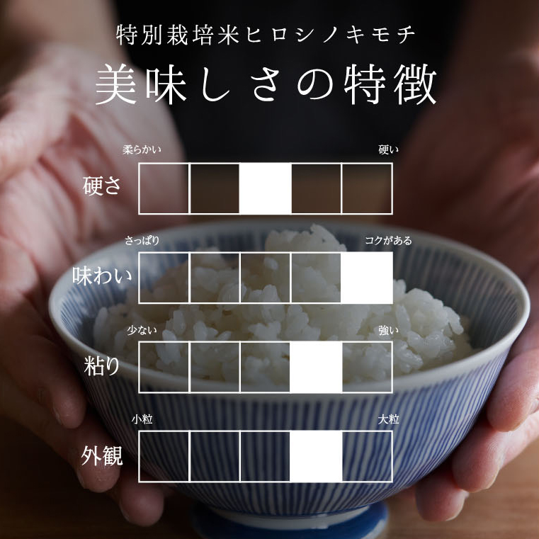 【6回定期】特別栽培米 コシヒカリ ヒロシノキモチ 精米 5kg 総計30kg ブランド米 銘柄米 国産 米 お米 日本米 ギフト 贈り物 備蓄 防災 食品 陽咲玲 はるざれ F6T-925