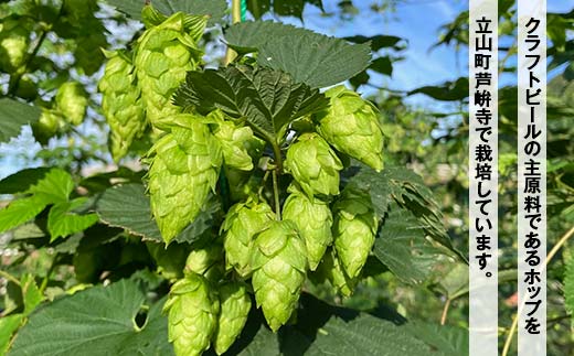 ASHIKURAJI Craft Beer 詰合せ AKATOTTO（350ml）3缶 伯鷹（350ml）3缶 計6缶 クラフトビール お酒 アルコール飲料 富山県 立山 芦峅寺 F6T-762