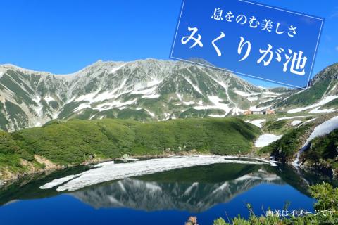 立山黒部アルペンルート ( 立山駅 ～ 黒部湖駅 ※往復 ) 優待券