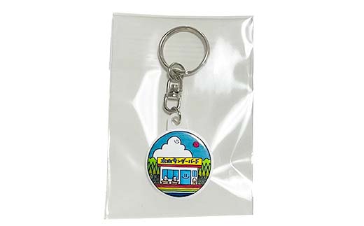 TV番組「夜の巷を徘徊する」紹介店 立山町の名所！癒しのイラスト ポストカード 5枚 キーホルダー 1個 セット 立山サンダーバード はがき 絵はがき ポップアート 雑貨 旅 旅行 思い出 富山県 立山町 F6T-426