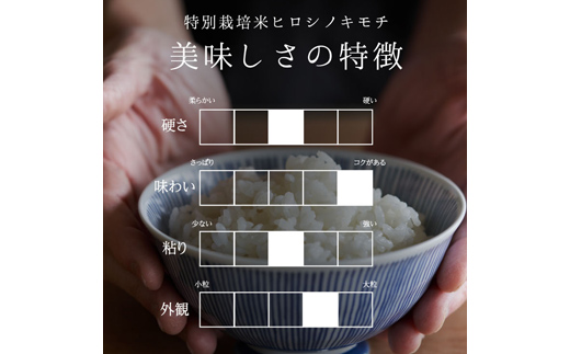 《先行予約》富山県ブランド米 富富富 玄米 10kg ふふふ ブランド米 国産 米 お米 日本米 ギフト 贈り物 備蓄 防災 食品 陽咲玲 はるざれ F6T-904