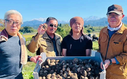 【2025年予約】立山町産里芋 Ｌサイズ 5kg さといも 里いも 芋 いも 野菜 根菜 立山町 F6T-726