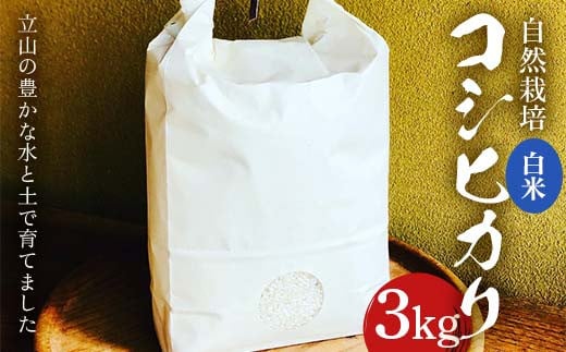 米 自然栽培 コシヒカリ 3kg  白雪農園 お米 精米 こしひかり 農家 美味しい 富山県 立山町 F6T-173