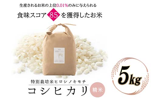 特別栽培米 コシヒカリ ヒロシノキモチ 精米 5kg ブランド米 銘柄米 国産 米 お米 日本米 ギフト 贈り物 備蓄 防災 食品 陽咲玲 はるざれ F6T-917