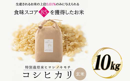 特別栽培米 コシヒカリ ヒロシノキモチ 玄米 10kg ブランド米 銘柄米 国産 米 お米 日本米 ギフト 贈り物 備蓄 防災 食品 陽咲玲 はるざれ F6T-922