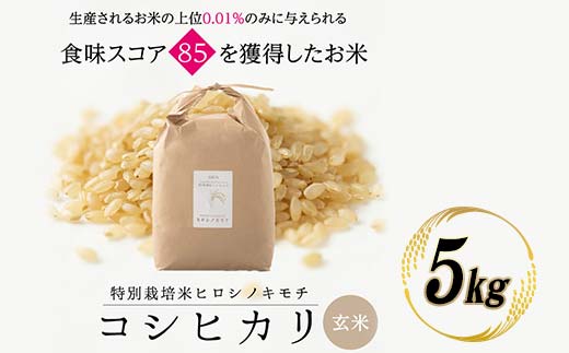 特別栽培米 コシヒカリ ヒロシノキモチ 玄米 5kg ブランド米 銘柄米 国産 米 お米 日本米 ギフト 贈り物 備蓄 防災 食品 陽咲玲 はるざれ F6T-921