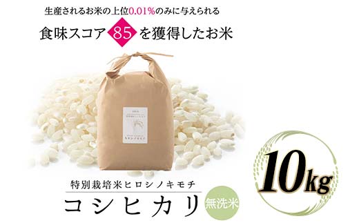 《先行予約》特別栽培米 コシヒカリ ヒロシノキモチ 無洗米 10kg ブランド米 銘柄米 国産 米 お米 日本米 ギフト 贈り物 備蓄 防災 食品 陽咲玲 はるざれ F6T-877