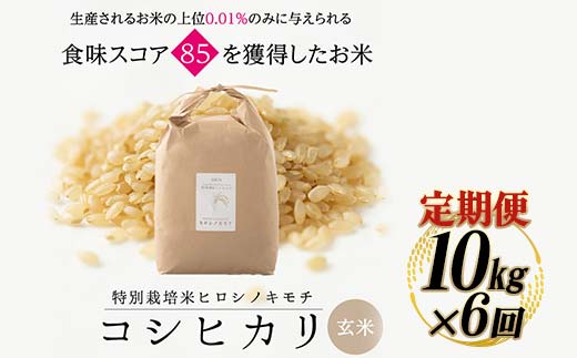 【6回定期】特別栽培米 コシヒカリ ヒロシノキモチ 玄米 10kg 総計60kg 陽咲玲 米 お米 コメ ご飯 ごはん 富山県産 富山県 立山町 F6T-940