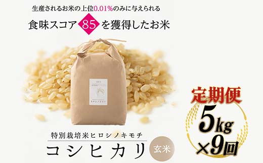 《先行予約》【9回定期】特別栽培米 コシヒカリ ヒロシノキモチ 玄米 5kg 総計45kg 陽咲玲 米 お米 コメ ご飯 ごはん 富山県産 富山県 立山町 F6T-895