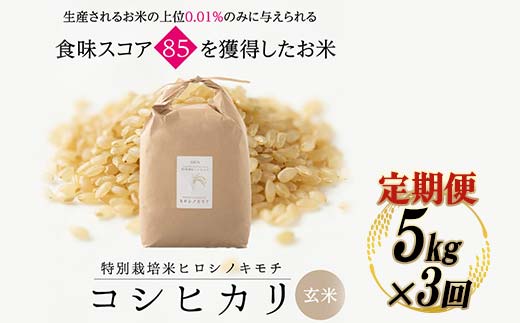 《先行予約》【3回定期】特別栽培米 コシヒカリ ヒロシノキモチ 玄米 5kg 総計15kg 陽咲玲 米 お米 コメ ご飯 ごはん 富山県産 富山県 立山町 F6T-893