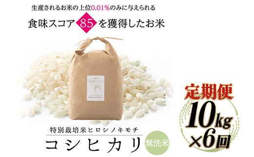《先行予約》【6回定期】特別栽培米 コシヒカリ ヒロシノキモチ 無洗米 10kg 総計60kg 陽咲玲 米 お米 コメ 無洗米 ご飯 ごはん 富山県産 富山県 立山町 F6T-891