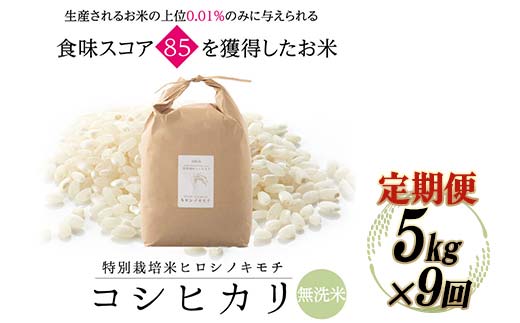 《先行予約》【9回定期】特別栽培米 コシヒカリ ヒロシノキモチ 無洗米 5kg 総計45kg 陽咲玲 米 お米 コメ 無洗米 ご飯 ごはん 富山県産 富山県 立山町 F6T-889