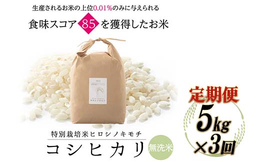 《先行予約》【3回定期】特別栽培米 コシヒカリ ヒロシノキモチ 無洗米 5kg 総計15kg 陽咲玲 米 お米 コメ 無洗米 ご飯 ごはん 富山県産 富山県 立山町 F6T-887