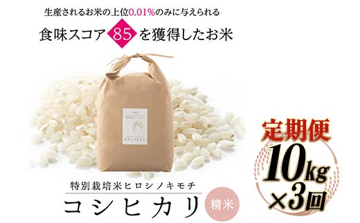 《先行予約》【3回定期】特別栽培米 コシヒカリ ヒロシノキモチ 精米 10kg 総計30kg ブランド米 銘柄米 国産 米 お米 日本米 ギフト 贈り物 備蓄 防災 食品 陽咲玲 はるざれ F6T-884