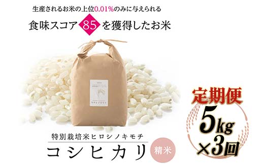 《先行予約》【3回定期】特別栽培米 コシヒカリ ヒロシノキモチ 精米 5kg 総計15kg ブランド米 銘柄米 国産 米 お米 日本米 ギフト 贈り物 備蓄 防災 食品 陽咲玲 はるざれ F6T-881