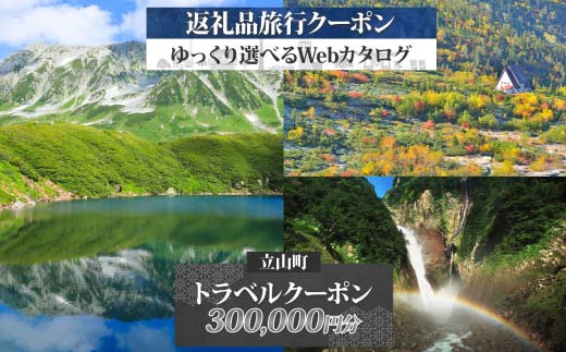 富山県 立山町 旅行クーポン 300,000 円分 キャンプ 体験 登山 観光 旅行 ホテル 旅館 老舗 高級 トラベル チケット 家族 カップル 宿泊 予約 おすすめ 父の日 母の日 旅行券 宿泊券  F6T-789