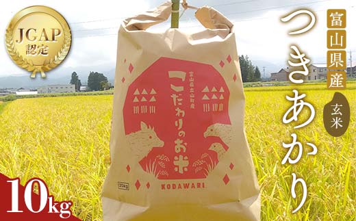 《数量限定》令和7年度産 つきあかり 玄米 10kg 米 お米 新米 ごはん おにぎり 富山 立山 北アルプス 健康志向 JGAP認定 F6T-845