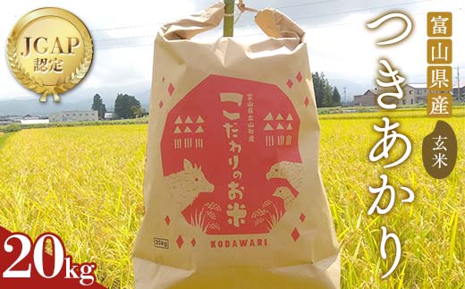 《数量限定》令和7年度産 つきあかり 玄米 20kg 米 お米 新米 ごはん おにぎり 富山 立山 北アルプス 健康志向 JGAP認定 F6T-846