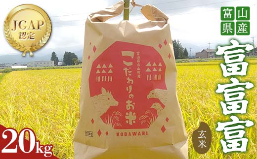 《数量限定》令和7年度産 富富富 玄米 20kg 米 お米 新米 ごはん おにぎり 富山 立山 北アルプス 健康志向 JGAP認定 F6T-848