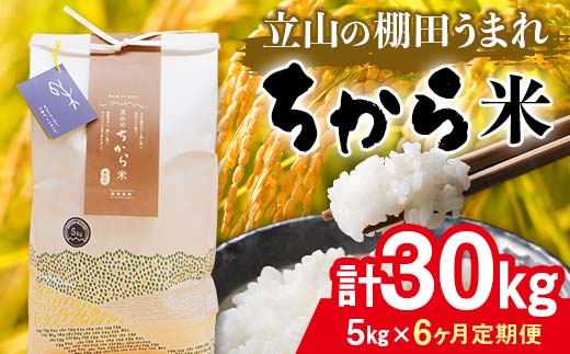 ＜定期便＞立山のちから米 コシヒカリ 各5kg ＜全6回＞ 計30kg 6ヶ月連続 5kg 定期便 定期配送 ちから米 こしひかり 銘柄米 ブランド米 国産 米 お米 日本米 ギフト 贈り物 備蓄 防災 食品 F6T-871