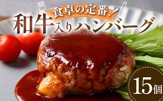 食卓の定番！和牛入りハンバーグ 15個 豚肉 和牛 定番 ジューシー 肉汁 手軽  メインディッシュ ジュワッ お子さま 大人 シンプル 飽きない  F6T-594