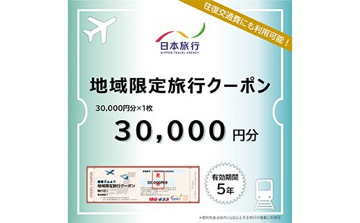 富山県立山町 日本旅行 地域限定旅行クーポン30,000円分 旅 旅行 観光 レジャー チケット クーポン 立山観光 F6T-755