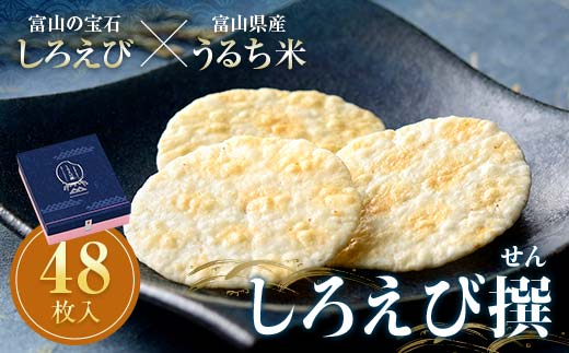 しろえびせんべいプレミアム しろえび撰48枚入り 日の出屋製菓産業 せんべい 煎餅 個包装 しろえび 白エビ 薄焼き ギフト 富山県 立山町 F6T-723