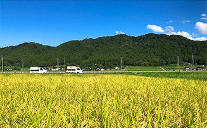 米 令和4年 食べ比べセット 2.5kg×2袋 計5kg / いただきます / 富山県 朝日町 [34310012]