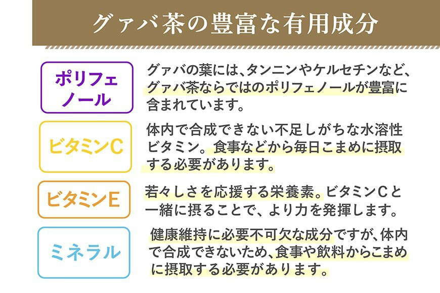お茶 グァバ茶 500ml 24本 1ケース [広貫堂 富山県 朝日町 34310389] グアバ ノンカフェイン カロリーゼロ 健康茶 ケース 箱 まとめ買い リピート 黒部名水  500ml