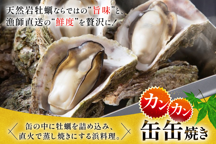 北陸産 岩牡蠣 10個 カンカン焼き セット [聖徳丸 富山県 朝日町 34310516] 牡蠣 カキ カンカン焼き牡蠣