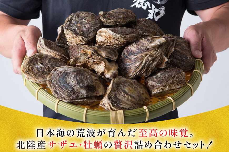 牡蠣 サザエ 各5個 水揚げ直送セット [聖徳丸 富山県 朝日町 34310517] 岩牡蠣 さざえ カキ