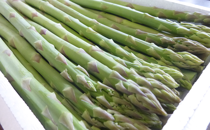 グリーンアスパラガス