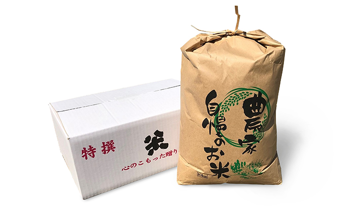 【令和3年産】黒部の恵み 富山県朝日町産くぼたのコシヒカリ 玄米10kg