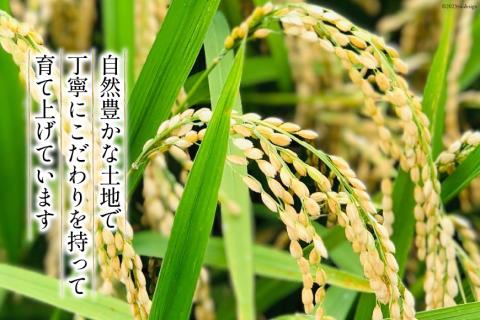 米 令和7年産 コシヒカリ 精米 5kg [サンライス青木 富山県 朝日町 34310559] お米 おこめ こめ kome コシヒカリ 精米 定期便 定期 5キロ 令和7年 ごはん