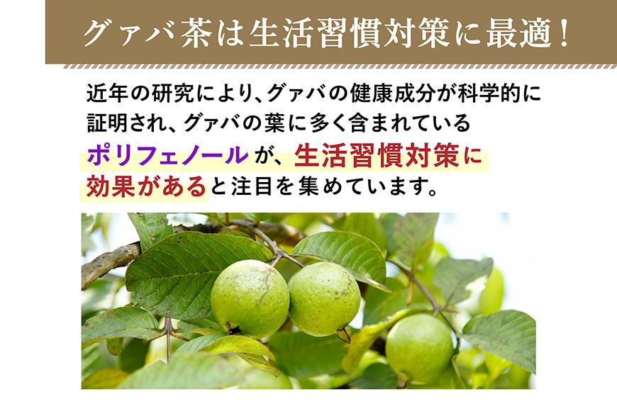 お茶 グァバ茶 500ml 24本 × 2ケース 計48本 [広貫堂 富山県 朝日町 34310388]　グアバ ノンカフェイン カロリーゼロ 健康茶 ケース 箱 まとめ買い リピート 黒部名水 48本 500ml