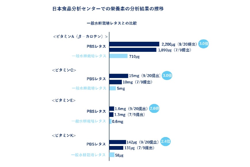 高ビタミン フリルレタス 100g 5袋 計500g [PBS 富山県 朝日町 34310474] 水耕栽培 レタス